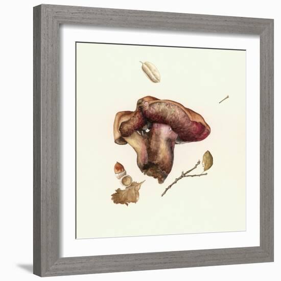 Wild Mushroom-Alison Cooper-Framed Giclee Print