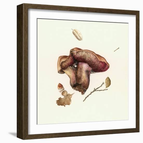 Wild Mushroom-Alison Cooper-Framed Giclee Print