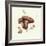 Wild Mushroom-Alison Cooper-Framed Giclee Print