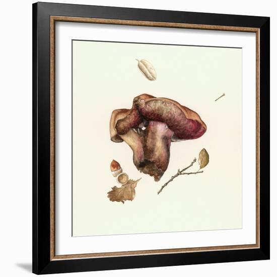 Wild Mushroom-Alison Cooper-Framed Giclee Print