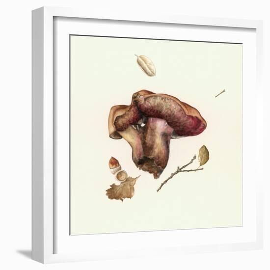 Wild Mushroom-Alison Cooper-Framed Giclee Print