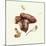 Wild Mushroom-Alison Cooper-Mounted Giclee Print