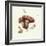 Wild Mushroom-Alison Cooper-Framed Giclee Print