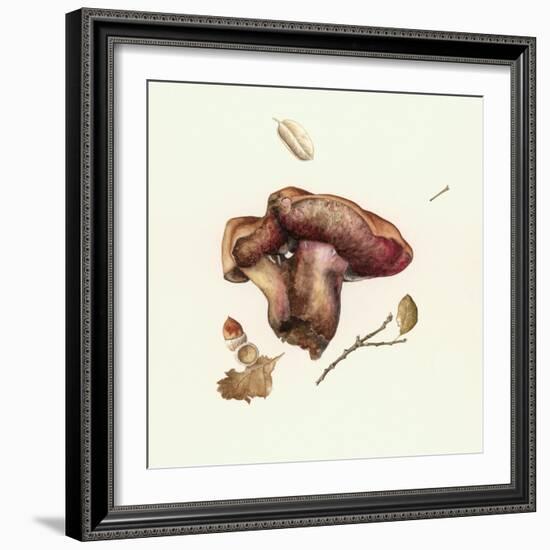 Wild Mushroom-Alison Cooper-Framed Giclee Print