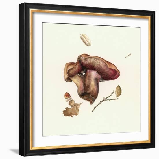 Wild Mushroom-Alison Cooper-Framed Giclee Print