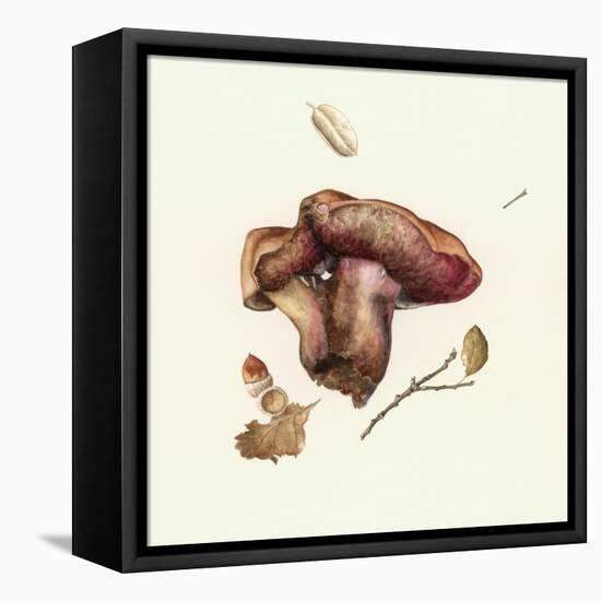 Wild Mushroom-Alison Cooper-Framed Premier Image Canvas