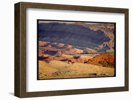 Wild Mustang Horses Running Across Field in Wyoming and Montana-Bill Eppridge-Framed Photographic Print