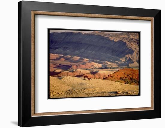 Wild Mustang Horses Running Across Field in Wyoming and Montana-Bill Eppridge-Framed Photographic Print