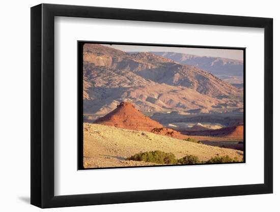 Wild Mustang Horses Running Across Field in Wyoming and Montana-Bill Eppridge-Framed Photographic Print