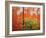 Wild Mustard Plant Against Old Red Barn, Wallowa County, Oregon, USA-Steve Terrill-Framed Photographic Print