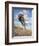 Wild Oats-Jack Sorenson-Framed Art Print