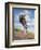 Wild Oats-Jack Sorenson-Framed Art Print