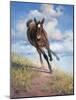 Wild Oats-Jack Sorenson-Mounted Art Print