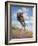 Wild Oats-Jack Sorenson-Framed Art Print