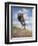 Wild Oats-Jack Sorenson-Framed Premium Giclee Print