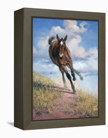 Wild Oats-Jack Sorenson-Framed Stretched Canvas