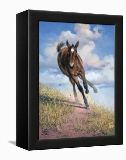 Wild Oats-Jack Sorenson-Framed Stretched Canvas