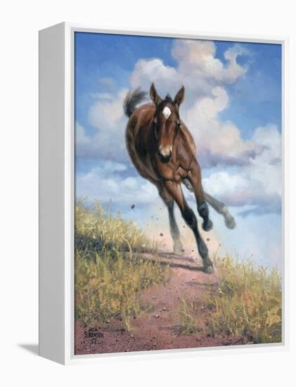 Wild Oats-Jack Sorenson-Framed Stretched Canvas