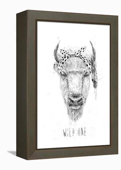 Wild One-Balazs Solti-Framed Premier Image Canvas