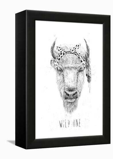 Wild One-Balazs Solti-Framed Premier Image Canvas