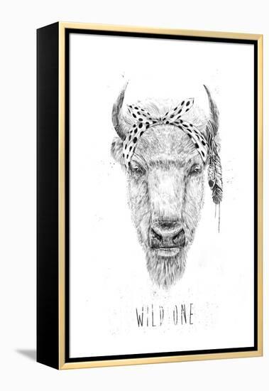 Wild One-Balazs Solti-Framed Premier Image Canvas