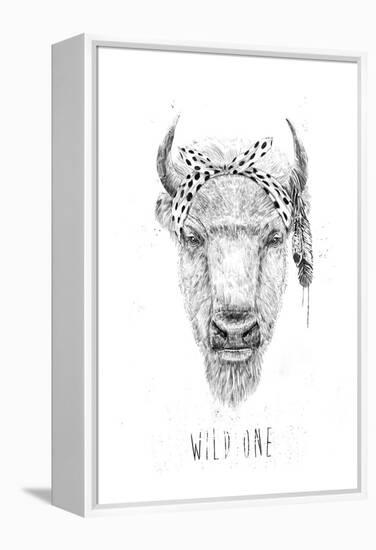 Wild One-Balazs Solti-Framed Premier Image Canvas