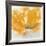 Wild Orange Sherbet I-J^P^ Prior-Framed Art Print