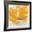 Wild Orange Sherbet I-J^P^ Prior-Framed Art Print