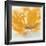 Wild Orange Sherbet I-J^P^ Prior-Framed Art Print