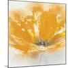 Wild Orange Sherbet I-J^P^ Prior-Mounted Art Print