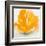 Wild Orange Sherbet I-J^P^ Prior-Framed Art Print