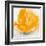 Wild Orange Sherbet I-J^P^ Prior-Framed Art Print