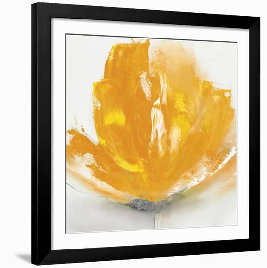 Wild Orange Sherbet II-J^P^ Prior-Framed Art Print