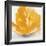 Wild Orange Sherbet II-J^P^ Prior-Framed Art Print