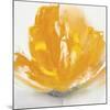 Wild Orange Sherbet II-J^P^ Prior-Mounted Art Print