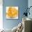 Wild Orange Sherbet II-J^P^ Prior-Mounted Art Print displayed on a wall