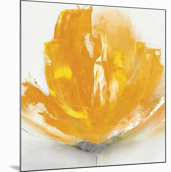 Wild Orange Sherbet II-J^P^ Prior-Mounted Art Print