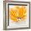 Wild Orange Sherbet II-J^P^ Prior-Framed Art Print