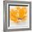 Wild Orange Sherbet II-J^P^ Prior-Framed Art Print