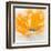 Wild Orange Sherbet II-J^P^ Prior-Framed Art Print