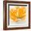 Wild Orange Sherbet II-J^P^ Prior-Framed Art Print