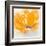 Wild Orange Sherbet II-J^P^ Prior-Framed Art Print