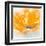 Wild Orange Sherbet II-J^P^ Prior-Framed Art Print