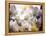 Wild Orchids, Malaysia-Michele Molinari-Framed Premier Image Canvas