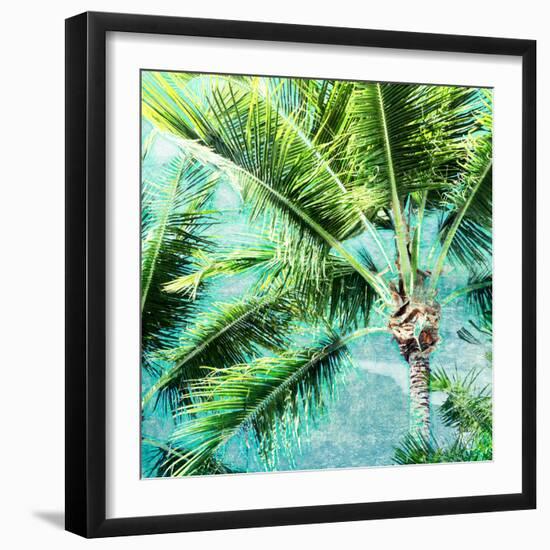 Wild Palm-Susan Bryant-Framed Photo