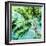 Wild Palm-Susan Bryant-Framed Photo