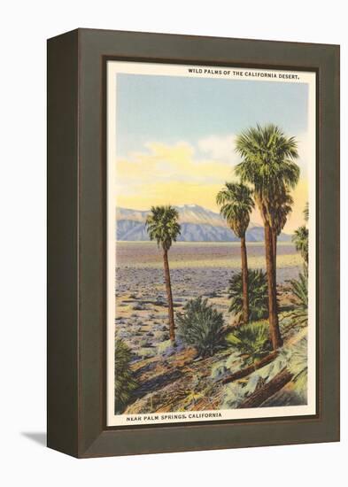 Wild Palms, Palm Springs-null-Framed Stretched Canvas