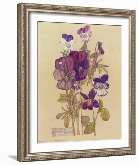 Wild Pansy-Charles Rennie Mackintosh-Framed Art Print