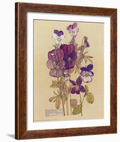 Wild Pansy-Charles Rennie Mackintosh-Framed Art Print