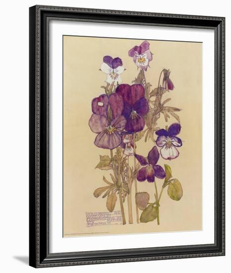 Wild Pansy-Charles Rennie Mackintosh-Framed Art Print